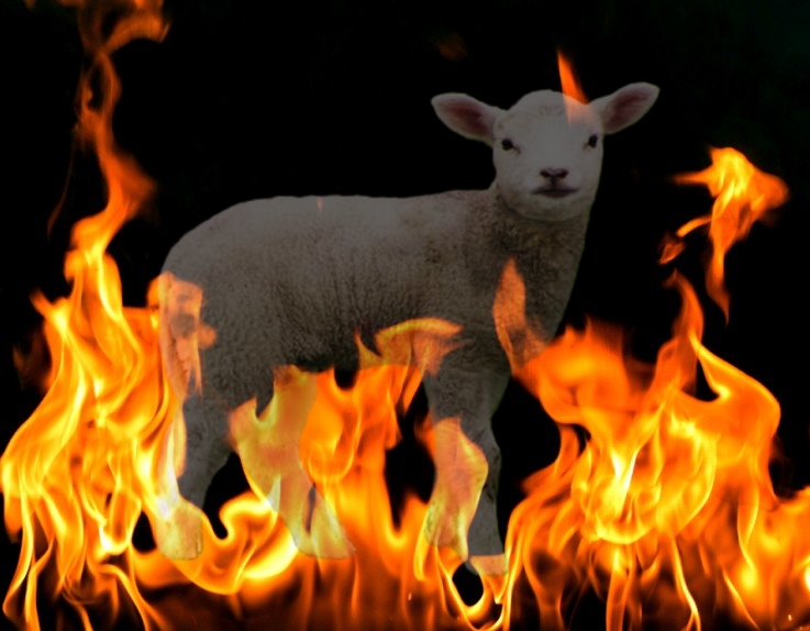 Leviticus 6:13 It shall never go out…